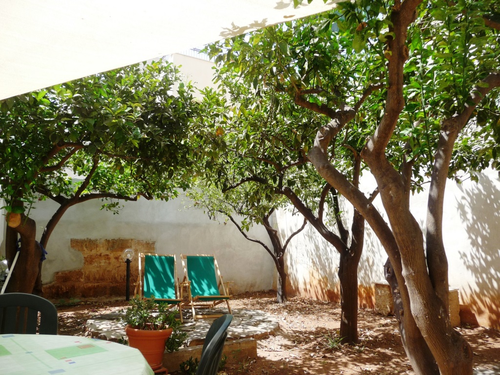 mediterranea domus I giardino